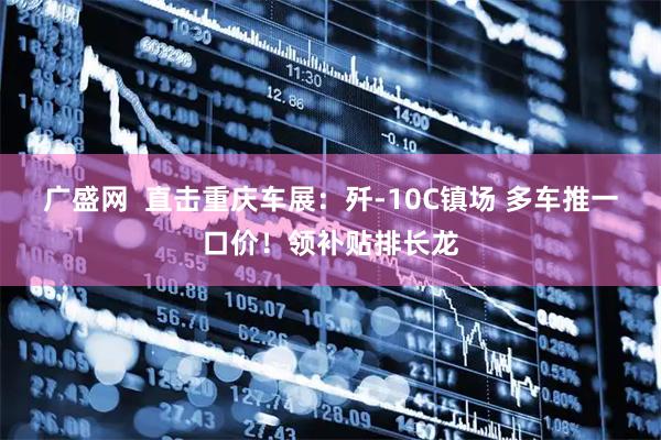 广盛网  直击重庆车展：歼-10C镇场 多车推一口价！领补贴排长龙
