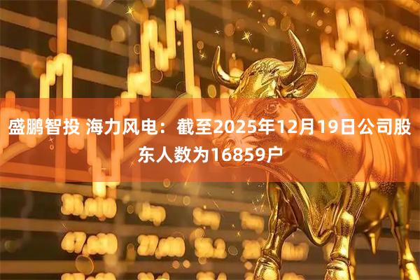 盛鹏智投 海力风电：截至2025年12月19日公司股东人数为16859户