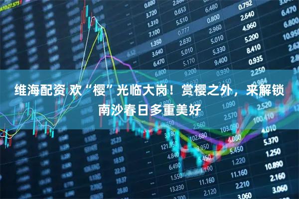 维海配资 欢“樱”光临大岗！赏樱之外，来解锁南沙春日多重美好